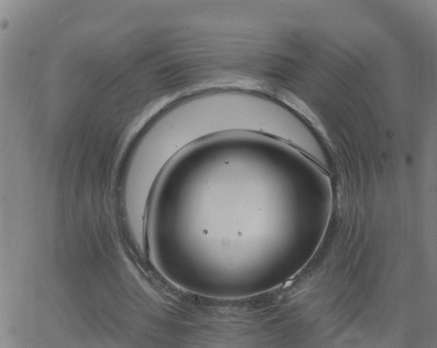 X0000062900436200601201915