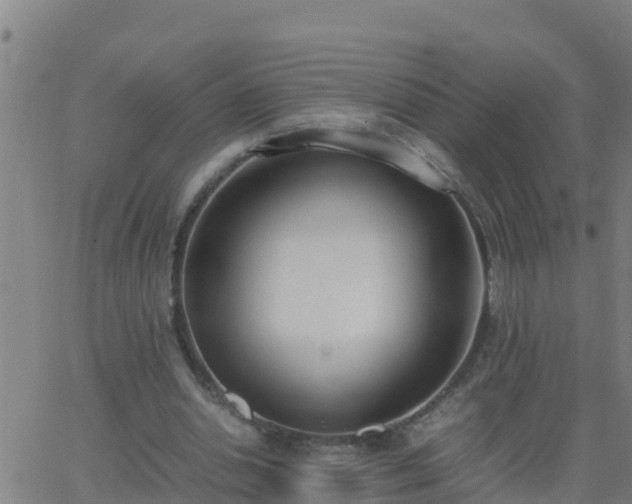 X0000062900438200601201915