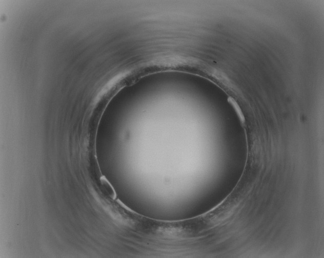 X0000062900440200601201915