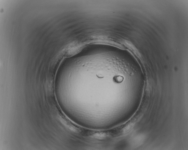 X0000062900441200601201915