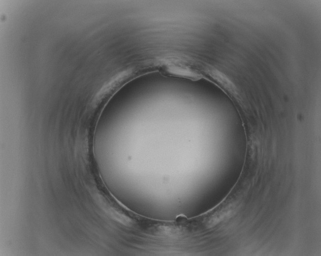 X0000062900442200601201915