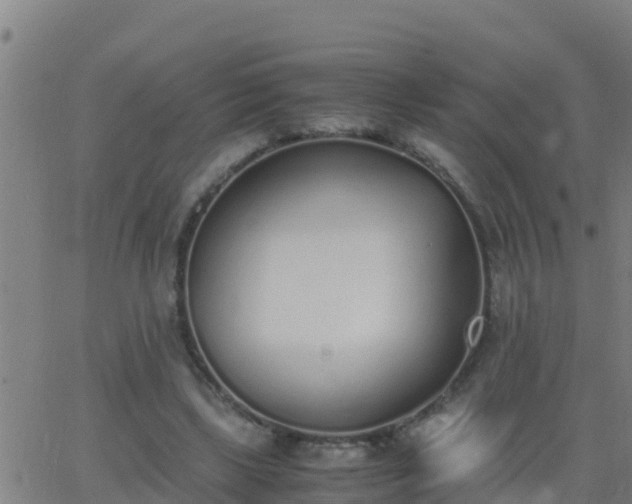 X0000062900443200601201915