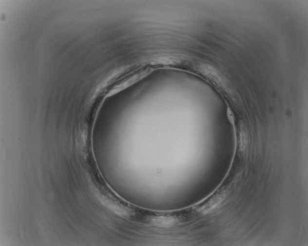 X0000062900444200601201915