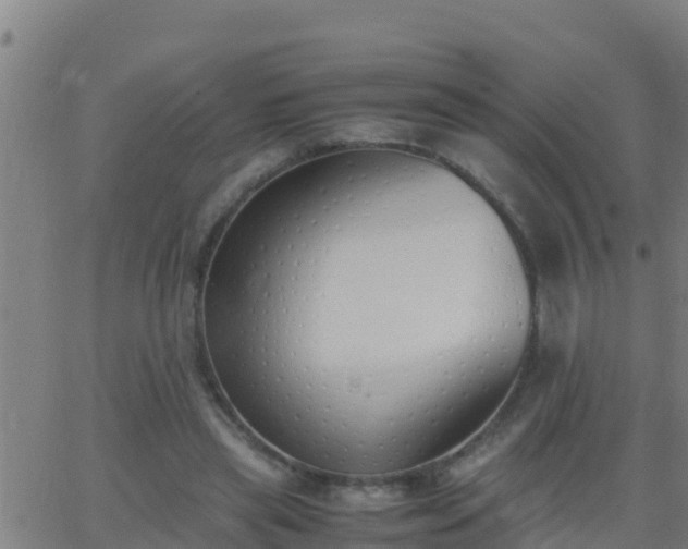 X0000062900445200601201915