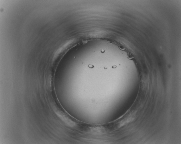 X0000062900446200601201915