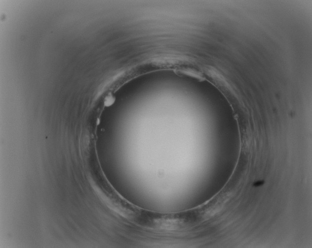 X0000062900448200601201915