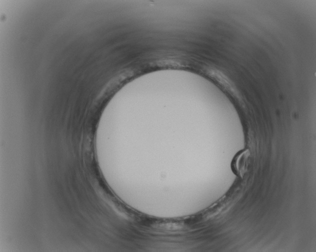 X0000062900449200601201915