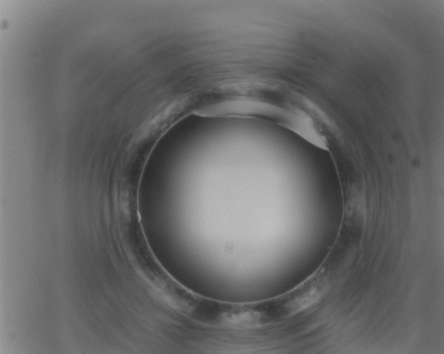 X0000062900452200601201915