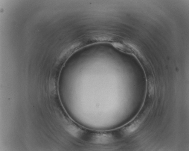 X0000062900453200601201915