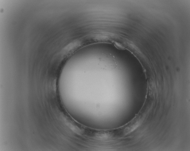 X0000062900454200601201915