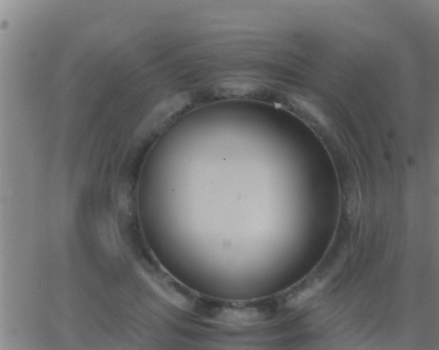 X0000062900455200601201915