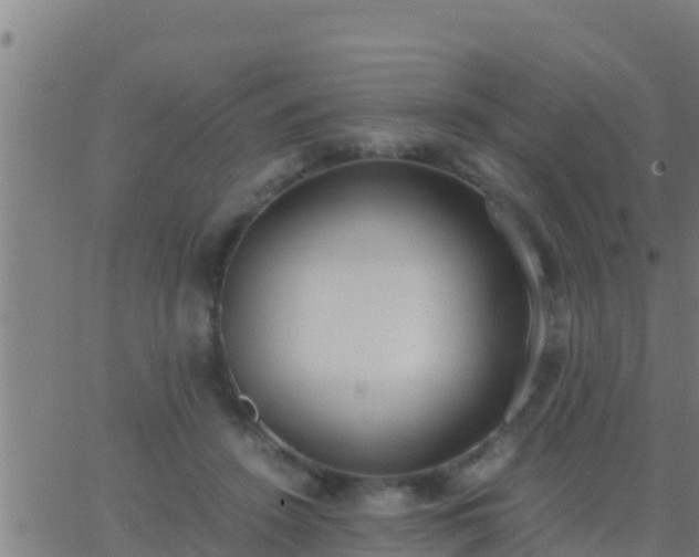 X0000062900456200601201915