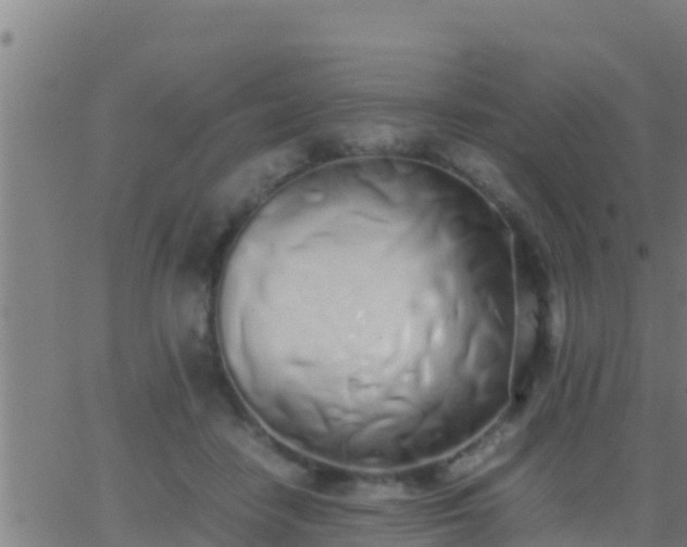 X0000062900458200601201915