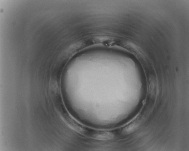 X0000062900459200601201915