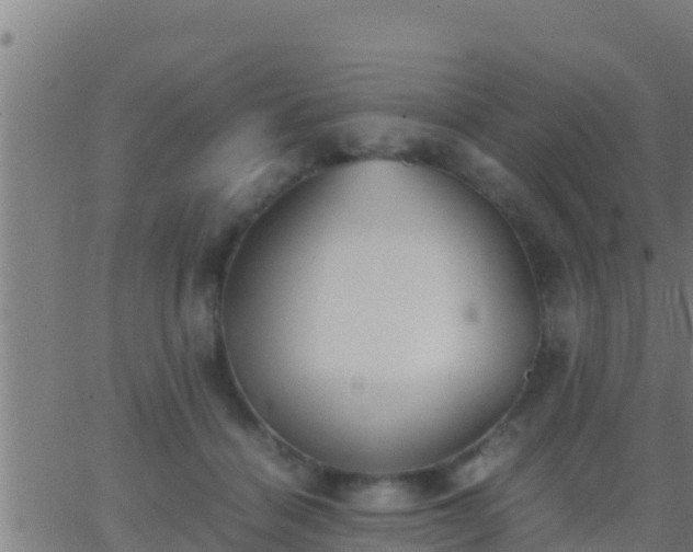 X0000062900460200601201915