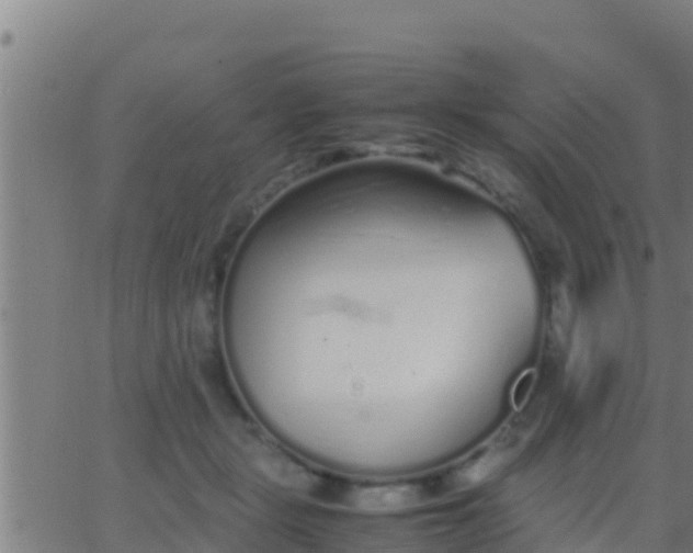 X0000062900461200601201915