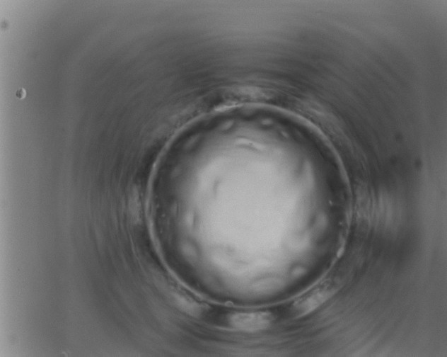 X0000062900465200601201915