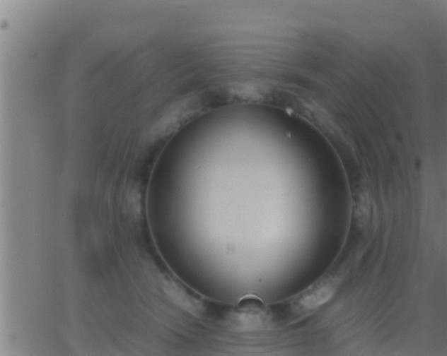 X0000062900466200601201915