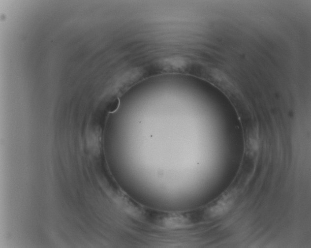 X0000062900468200601201915