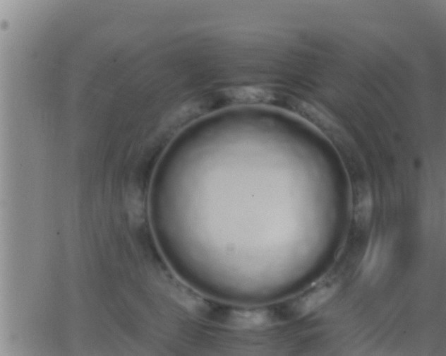 X0000062900469200601201915