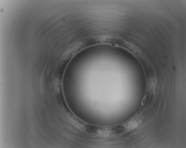 X0000062900470200601201915