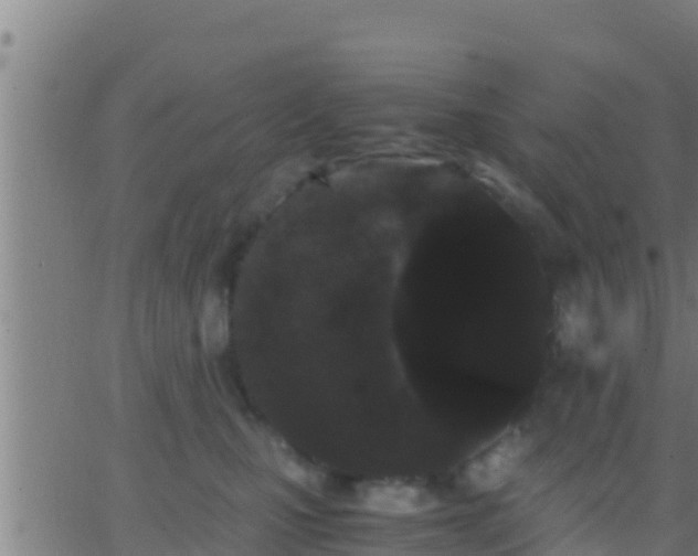 X0000062900471200601201915