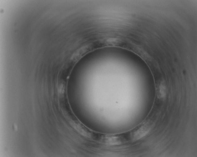 X0000062900472200601201915