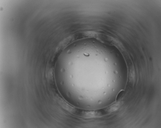 X0000062900473200601201915