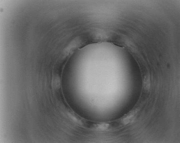 X0000062900474200601201915