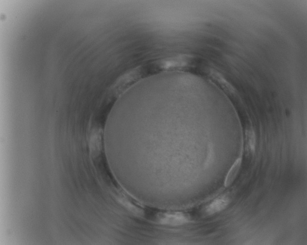 X0000062900475200601201915