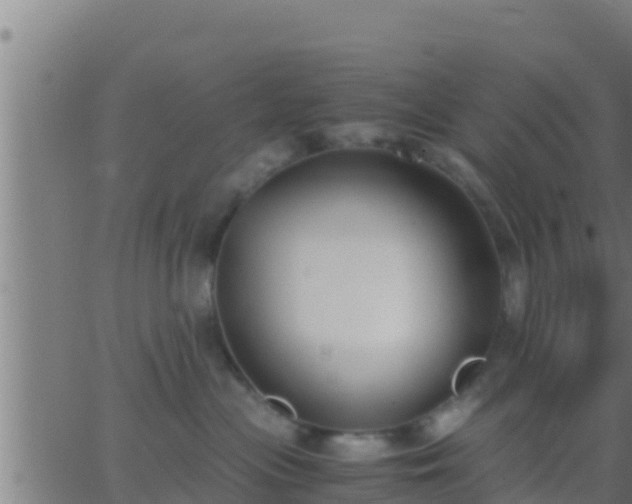 X0000062900477200601201916