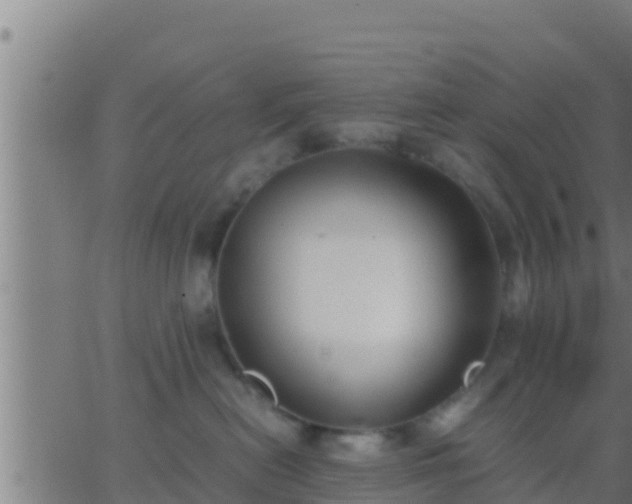 X0000062900478200601201916