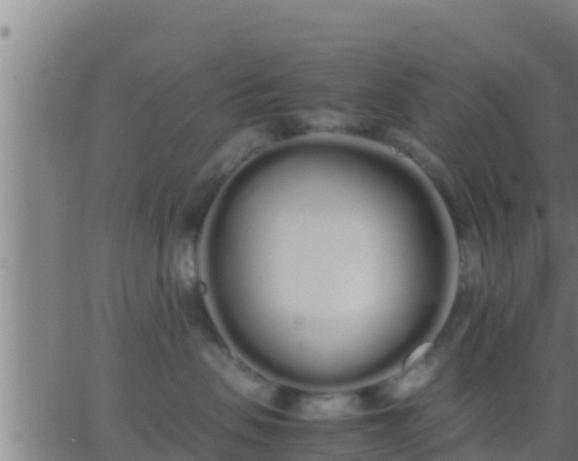 X0000062900479200601201916