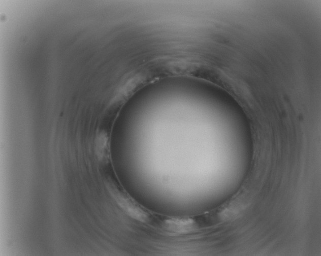 X0000062900480200601201916