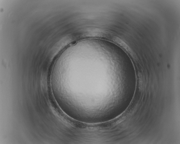 X0000062900482200601201915