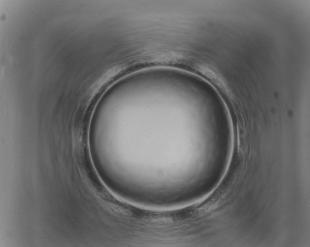 X0000062900483200601201915