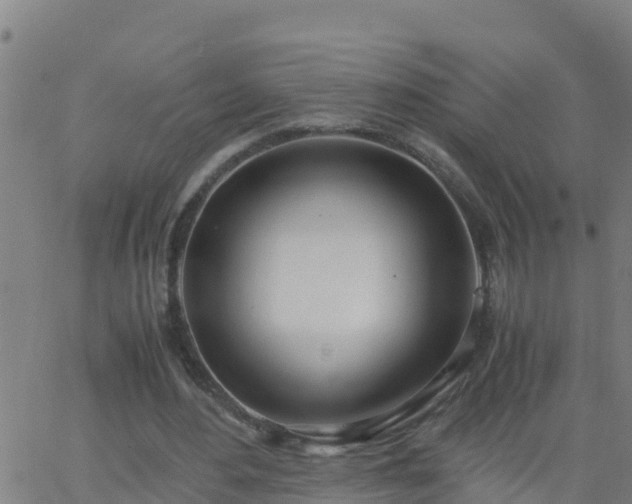 X0000062900484200601201915