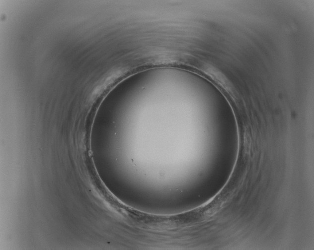 X0000062900485200601201915