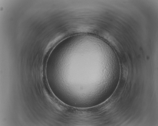 X0000062900486200601201915