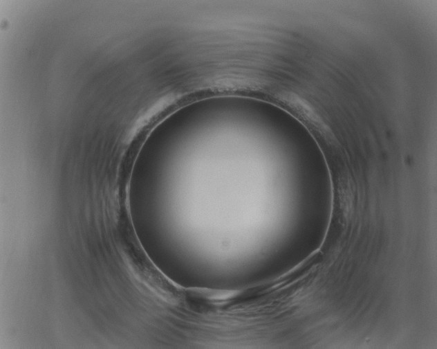 X0000062900488200601201915