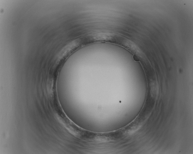 X0000062900490200601201915