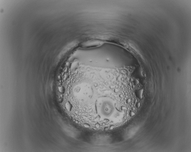 X0000062900491200601201915