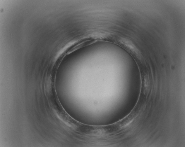 X0000062900492200601201915