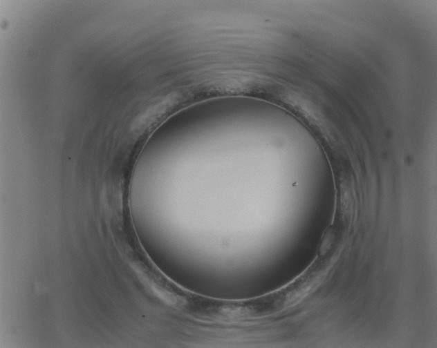 X0000062900493200601201915