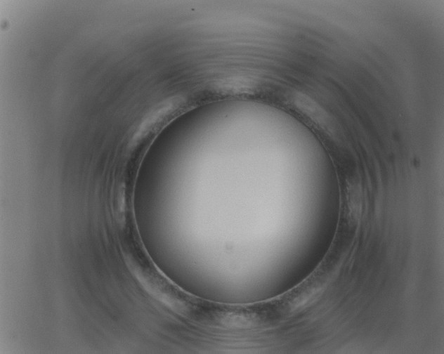 X0000062900494200601201915