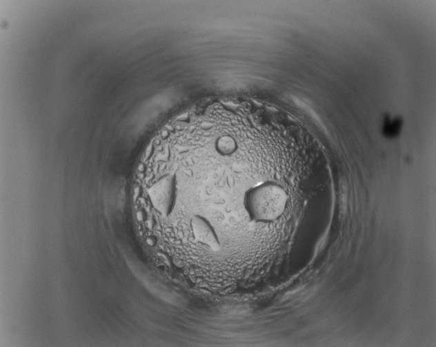 X0000062900495200601201915