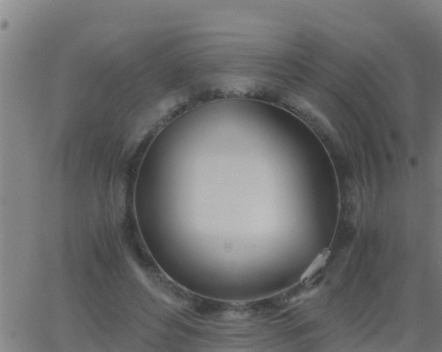 X0000062900496200601201915