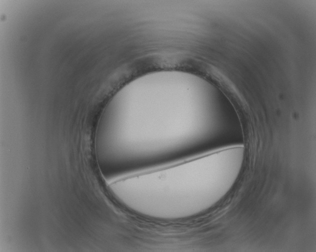 X0000062900497200601201914