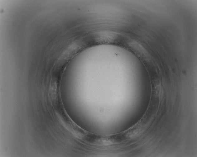 X0000062900498200601201914