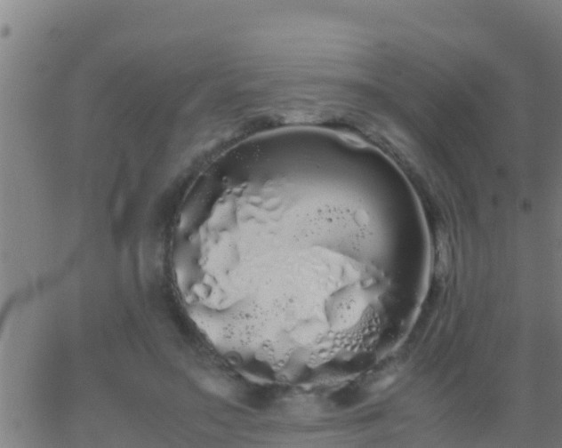 X0000062900499200601201914